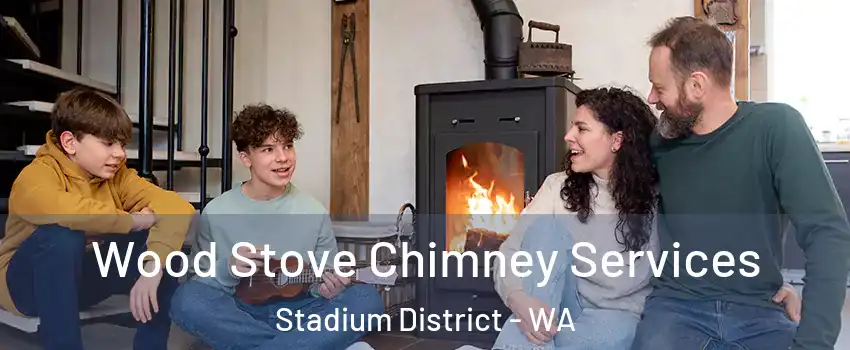 Wood Stove Chimney Services Stadium District - WA