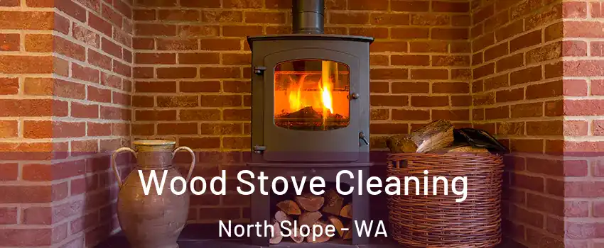 Wood Stove Cleaning North Slope - WA