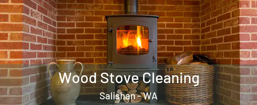 Wood Stove Cleaning Salishan - WA