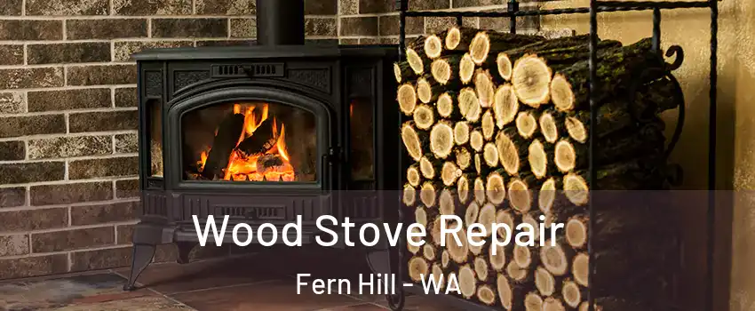 Wood Stove Repair Fern Hill - WA