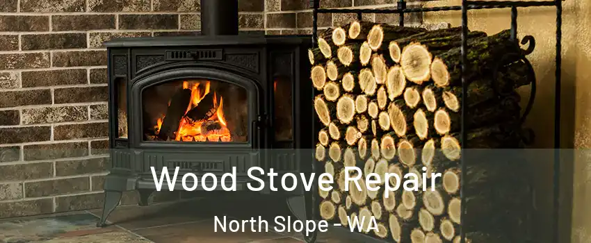 Wood Stove Repair North Slope - WA