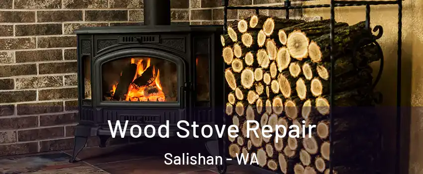 Wood Stove Repair Salishan - WA