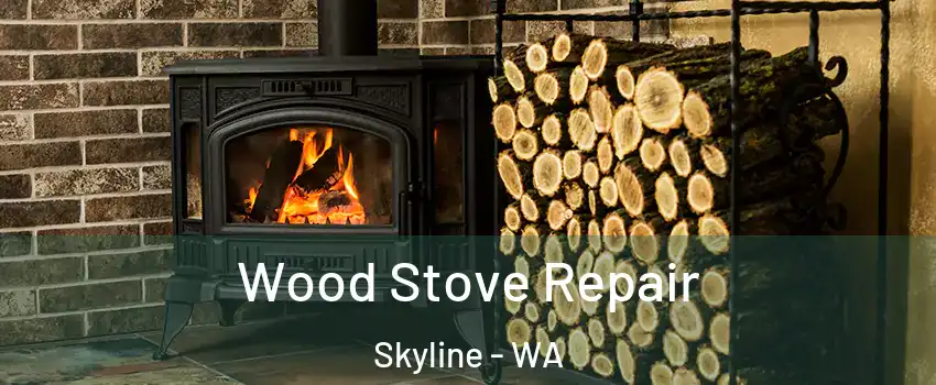 Wood Stove Repair Skyline - WA