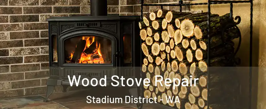 Wood Stove Repair Stadium District - WA